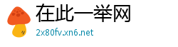 在此一举网